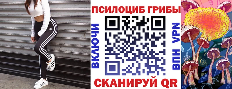 купить наркотики сайты  Семикаракорск  Галлюциногенные грибы Cubensis 